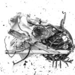 Puisi Asa Nirwangga: Merde